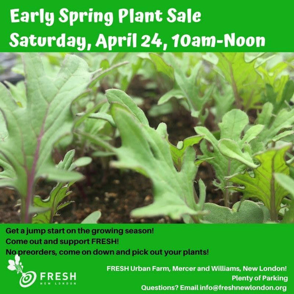 Early Spring Plant Sale: What’s for sale?